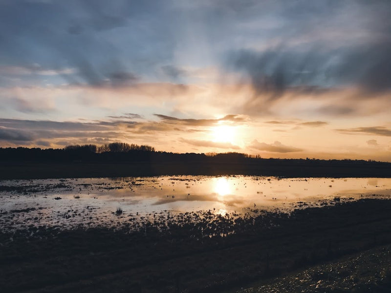 Sunset Over A Field