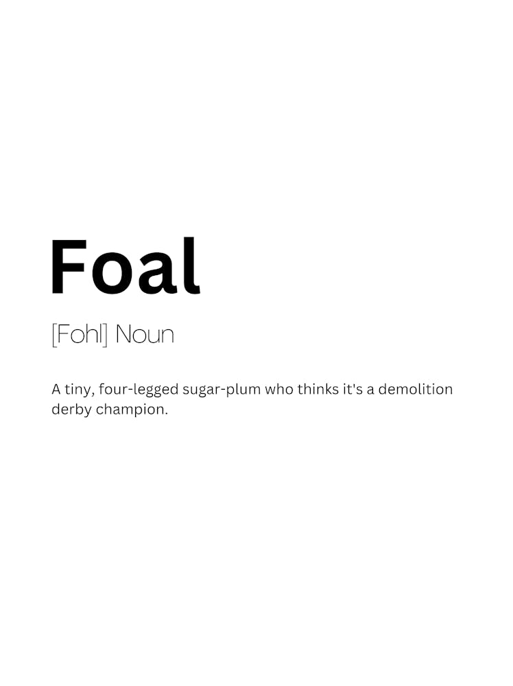 Poulain Définition Signification 1