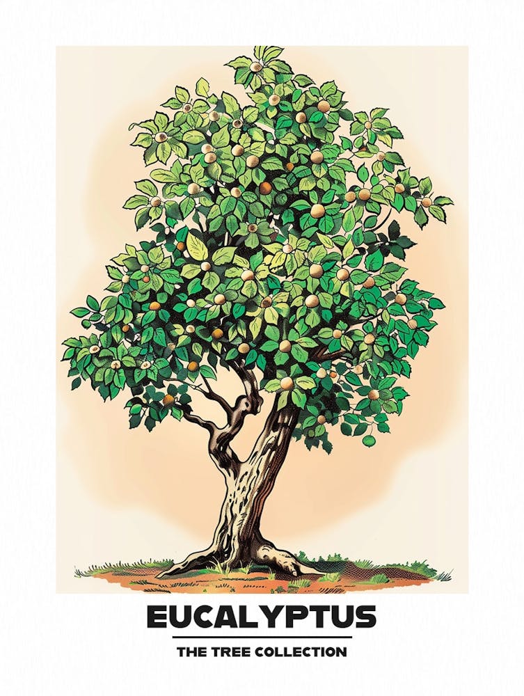 Eukalyptusbaum Märchenbuch Illustration 1 Plakat