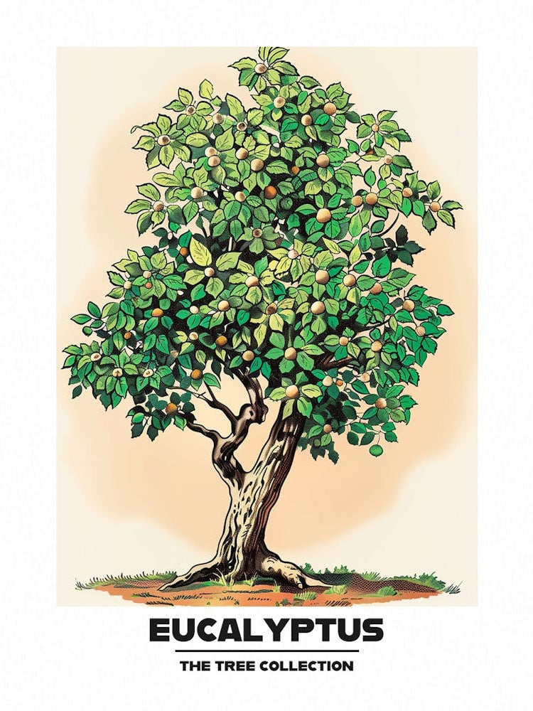 Eucalyptus Tree Storybook Illustration 1 Poster