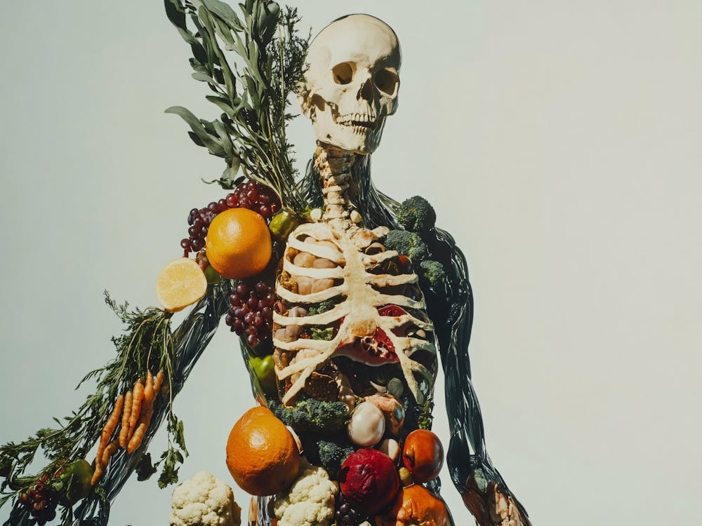 Skeleton With Vegetables