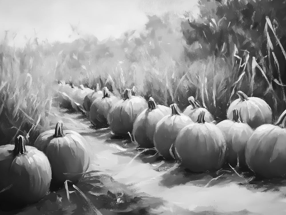 Citrouilles Dans Le Champ 1