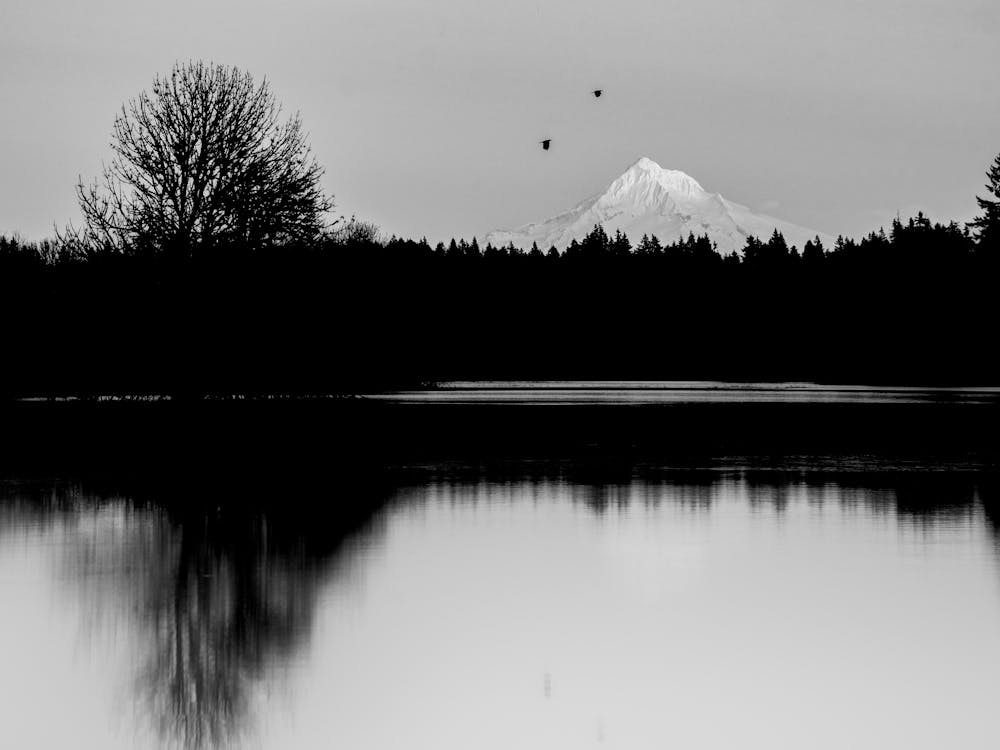 Stimmungsvolle Schwarz-Weiß-Mount-Hood-Magie