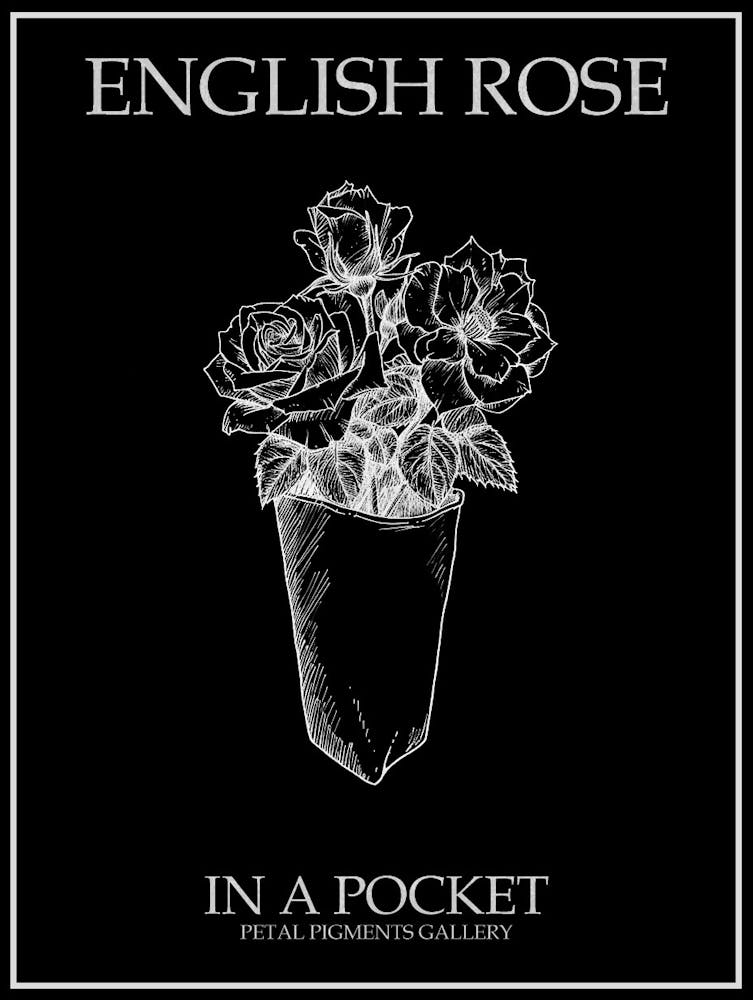 English Rose In A Pocket Line Drawing 2 Poster Inverted