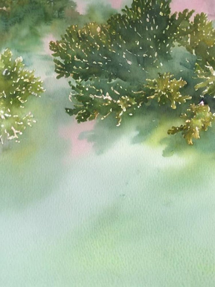 Acropora Tenuis Vi Storybook Watercolour