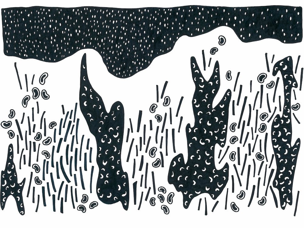 Cold Nights