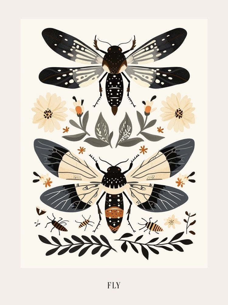 Colourful Insect Illustration Fly 4 Poster
