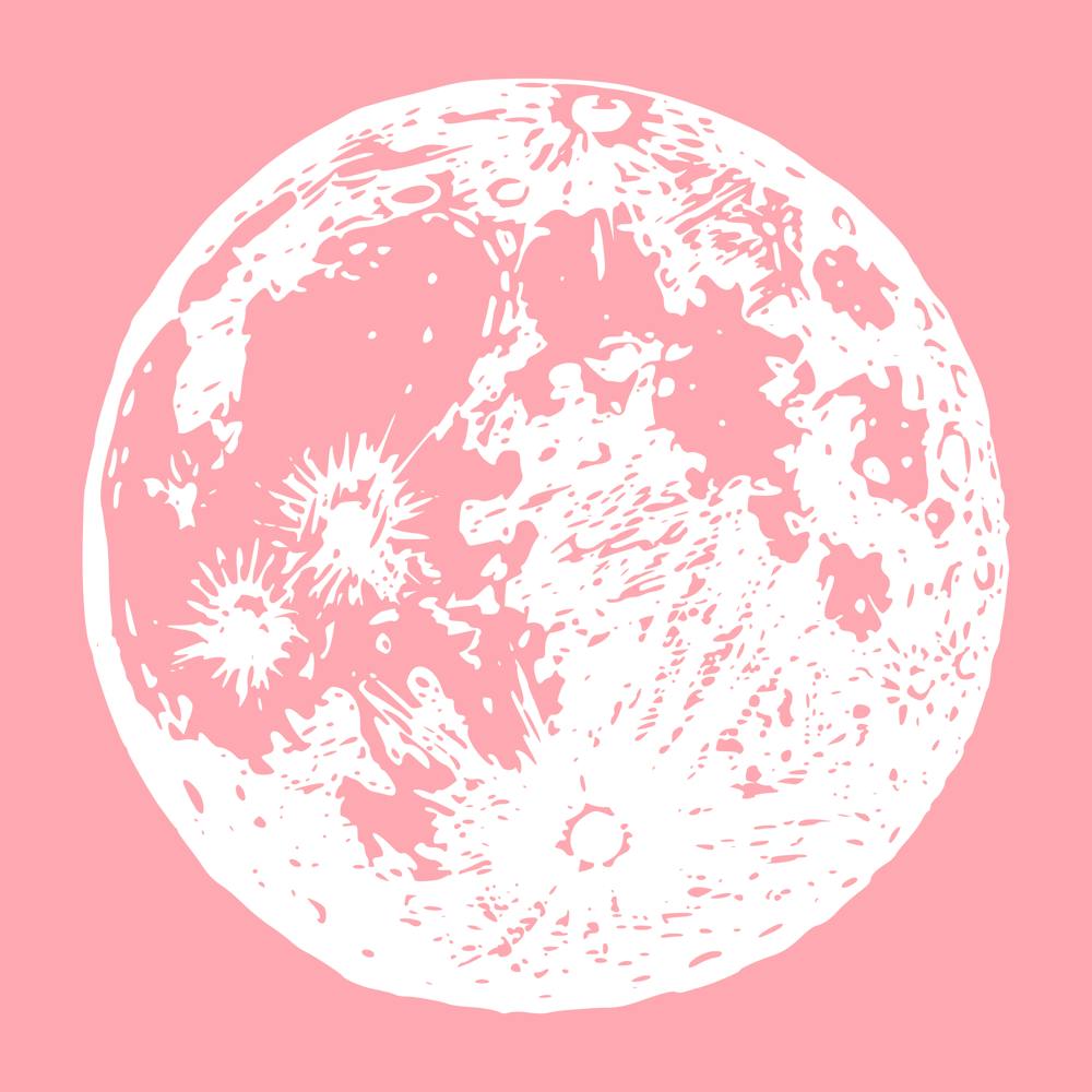 Pink Moon 1