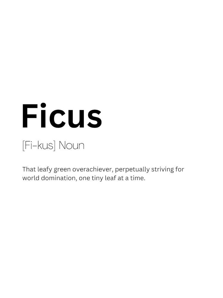 Ficus Definition Meaning