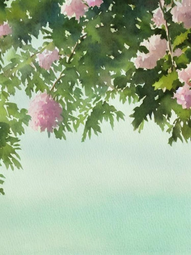 Goniopora Ii Storybook Watercolour