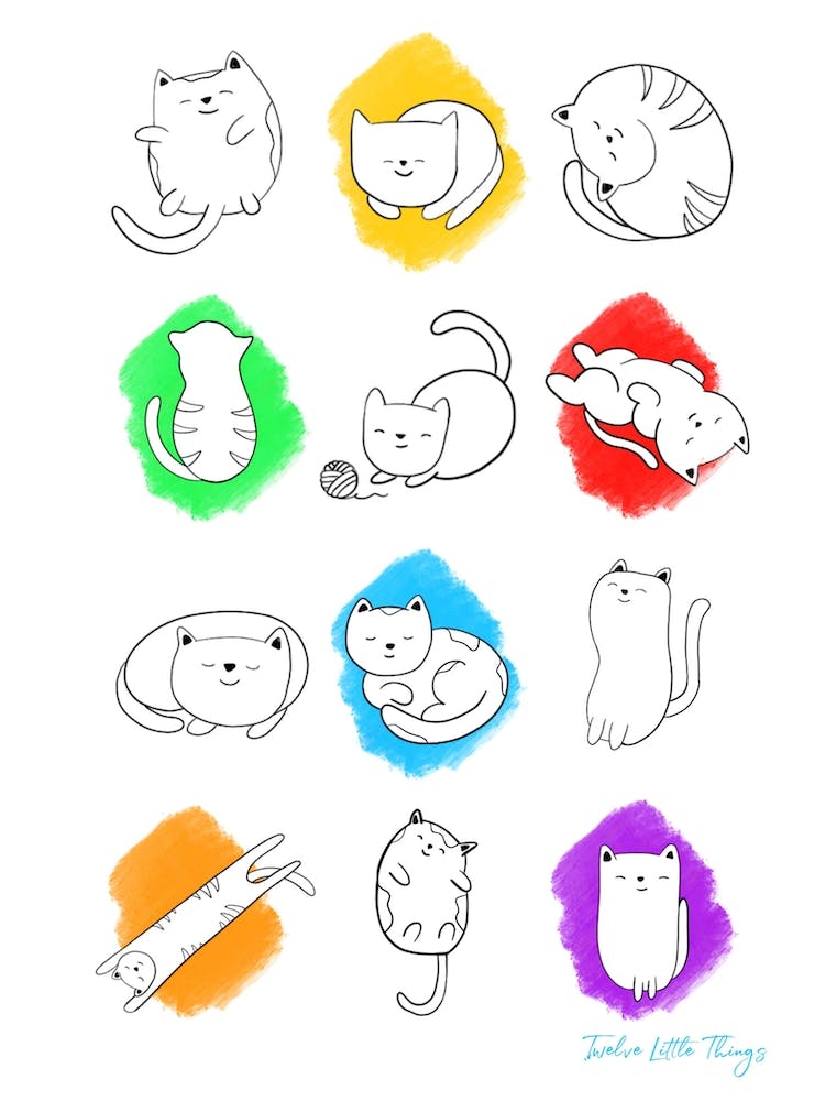 Chats Colorés