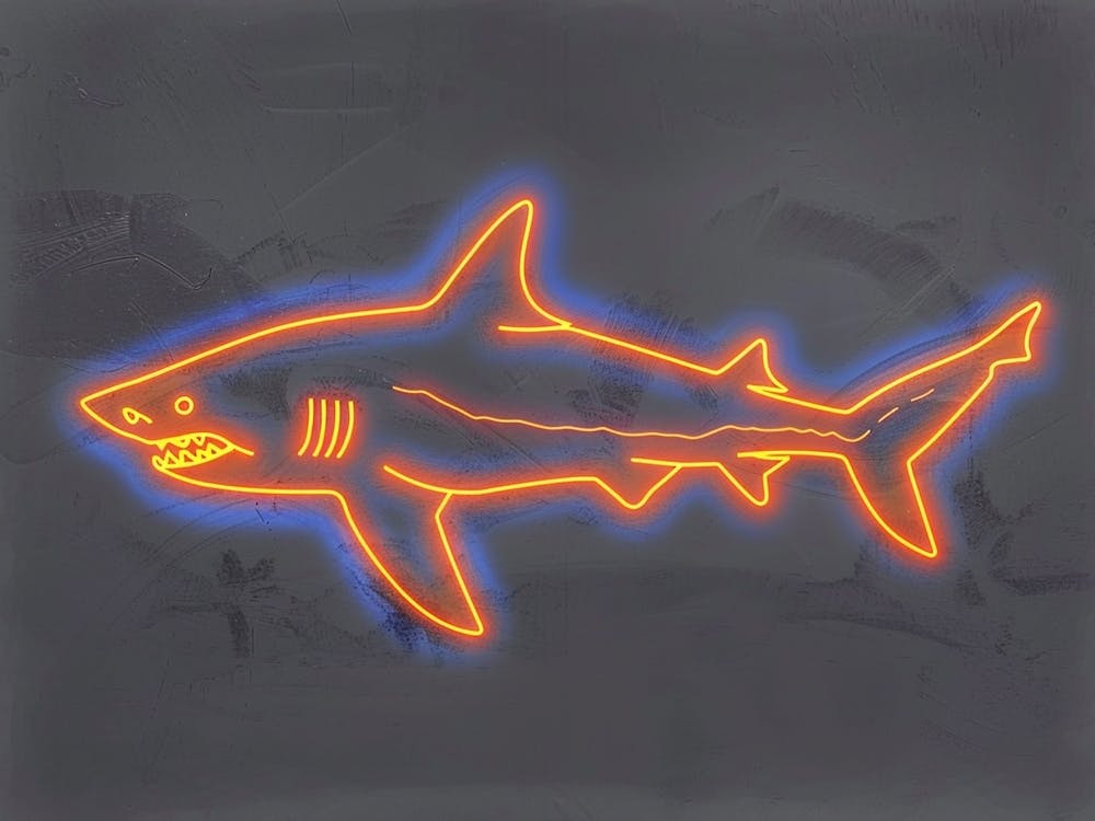 Neon Orange Carpet Shark 2