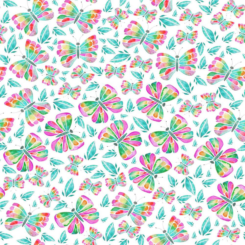 Butterflies On A White Background