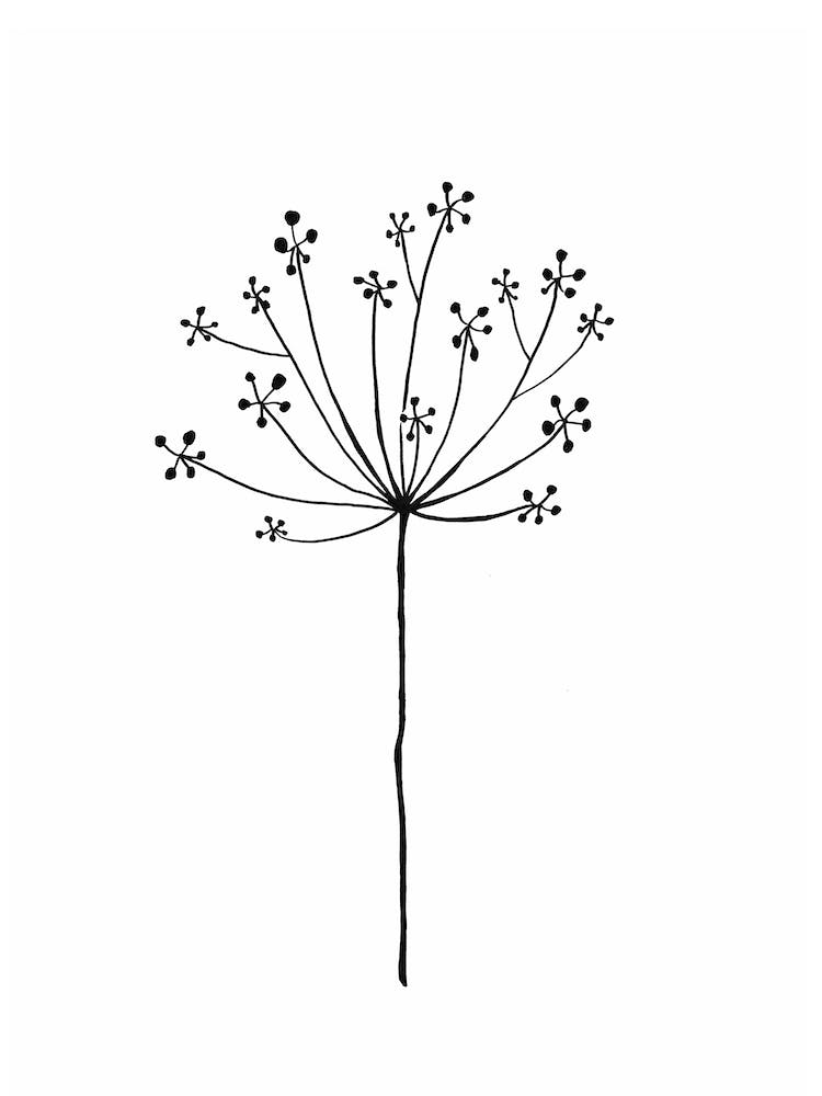 Minimal Pusteblume