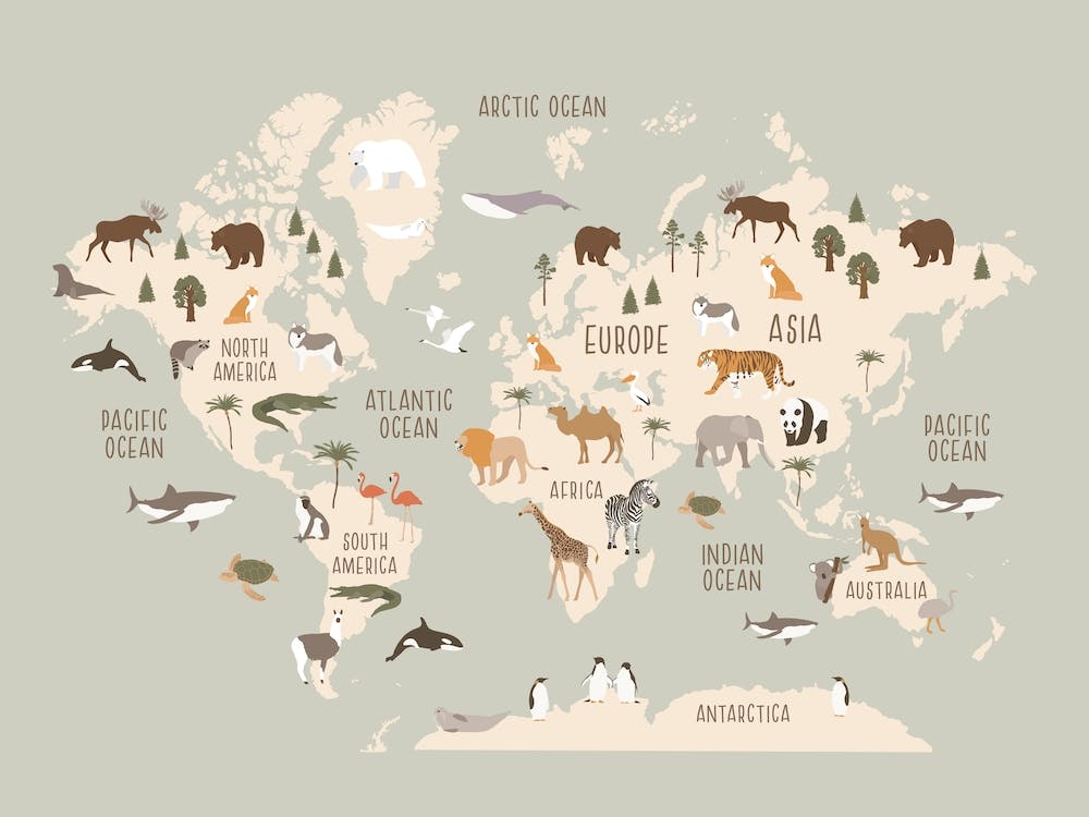 Kids World Map, Nursery Wall Decor, Sage Green