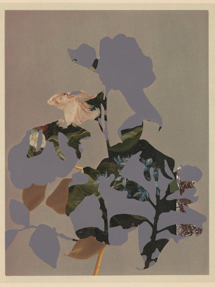 The First Plant · B