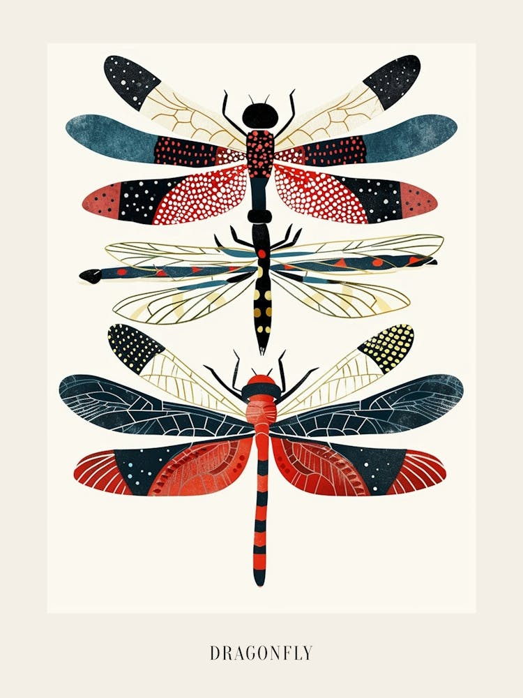 Colourful Insect Illustration Dragonfly 9 Poster