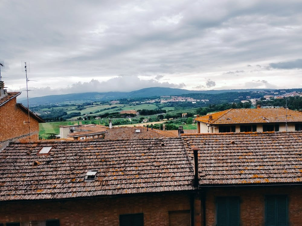 View From A Roof