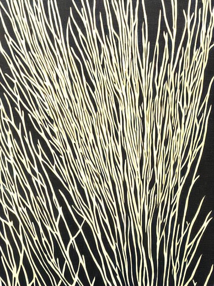 Acropora Gemmifera Ii Linocut