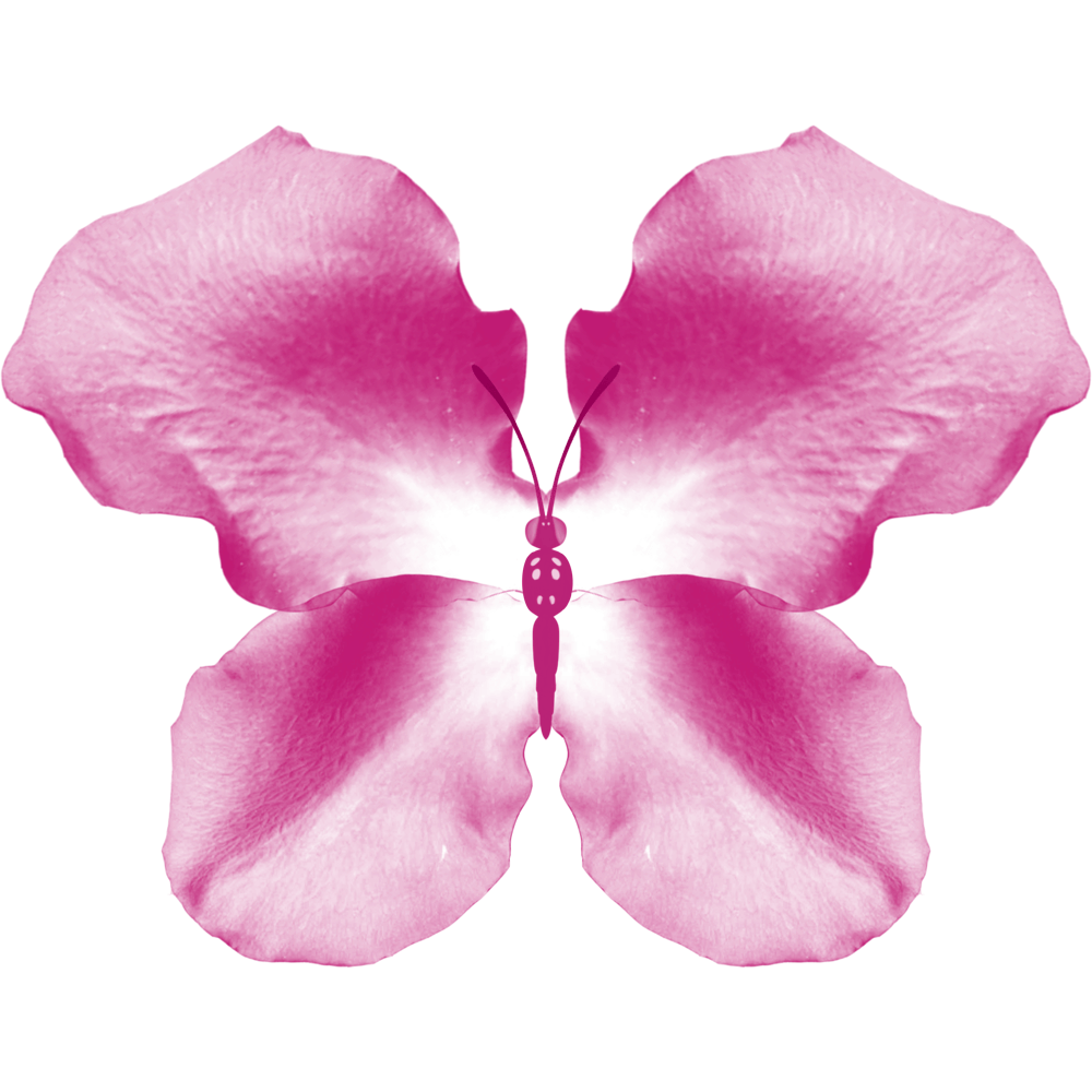 Pink Rose Petal Butterfly