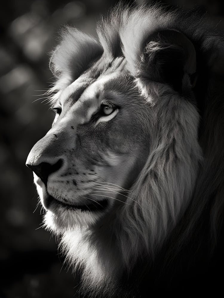 Portrait Of A Lion