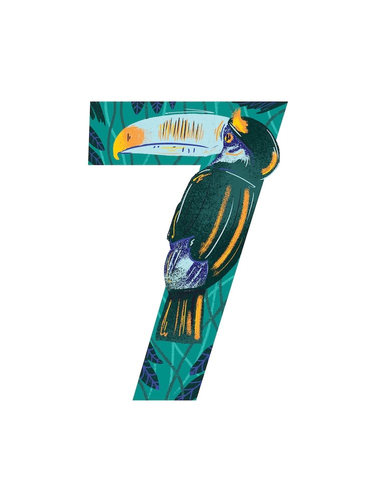 7  Toucan
