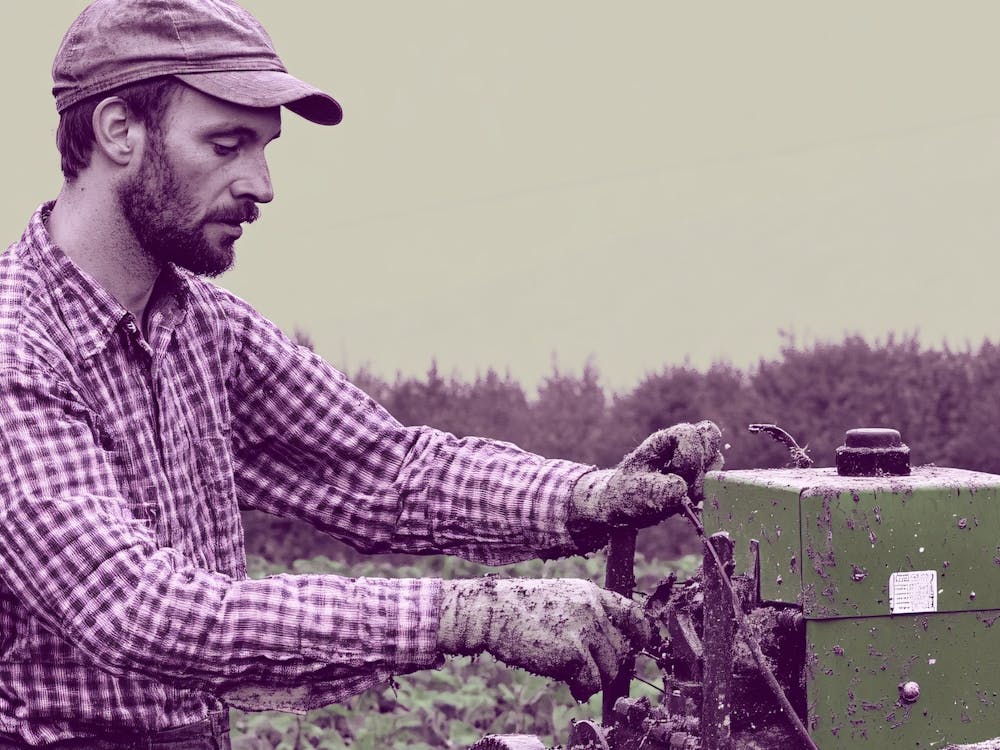 Farmer In The Field Purple
