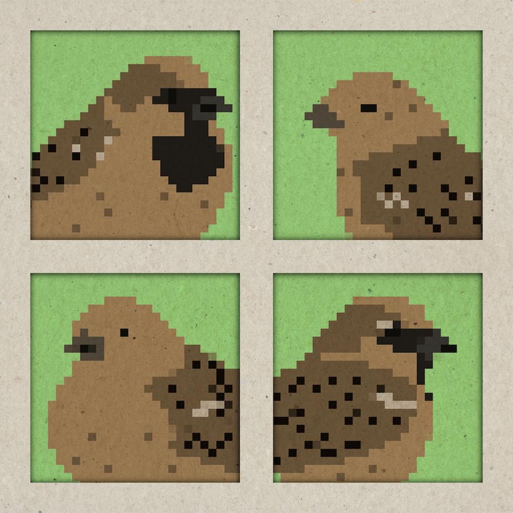 Four Pixel Sparrows, birds, animals, illustration, wall art