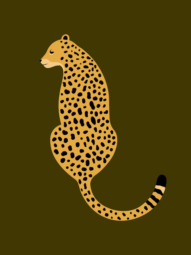 Cheetah