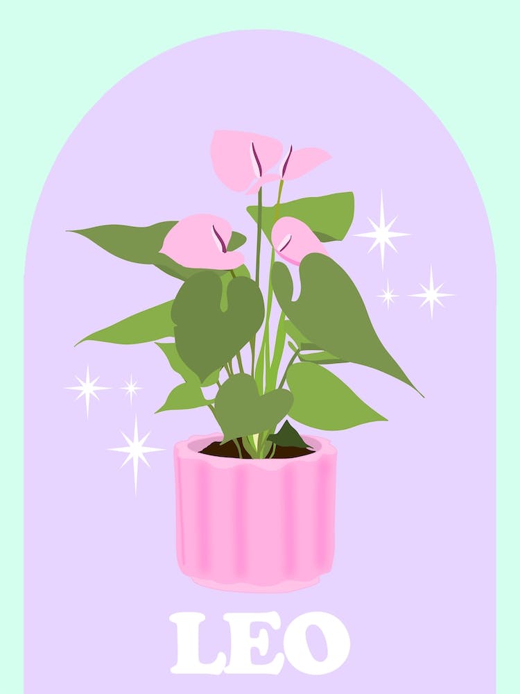 Botanical Star Sign Leo