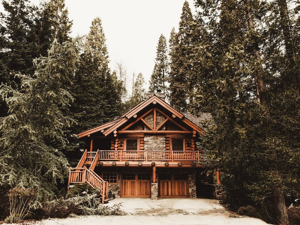 Forest Cabin