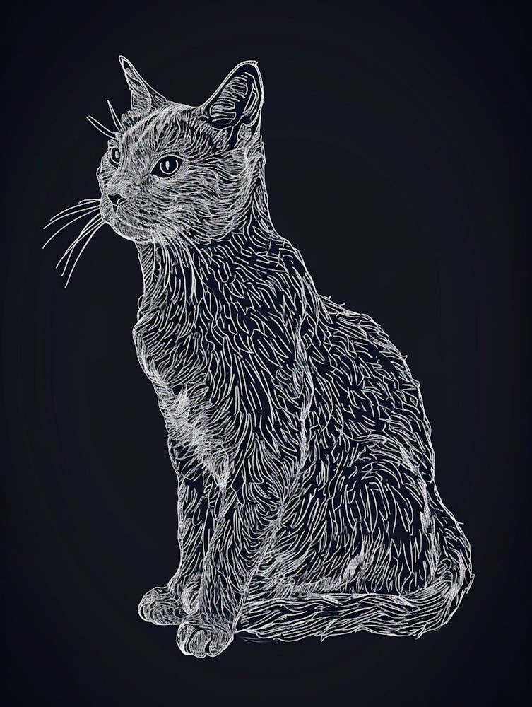 European Shorthair Cat Minimalist Illustration 3