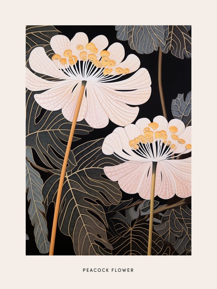 Flower Illustration Peacock Flower 4 Poster