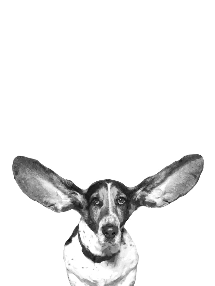 Black and White Cute Dog Watercolor