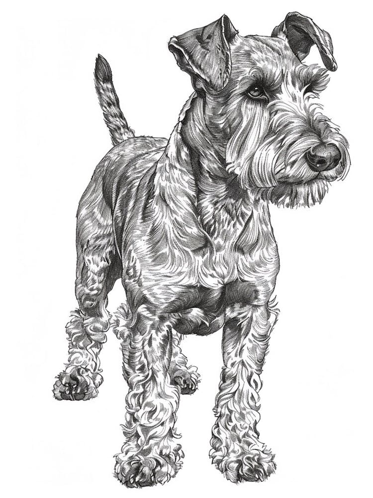 Fox Terrier Dog Line Sketch 3