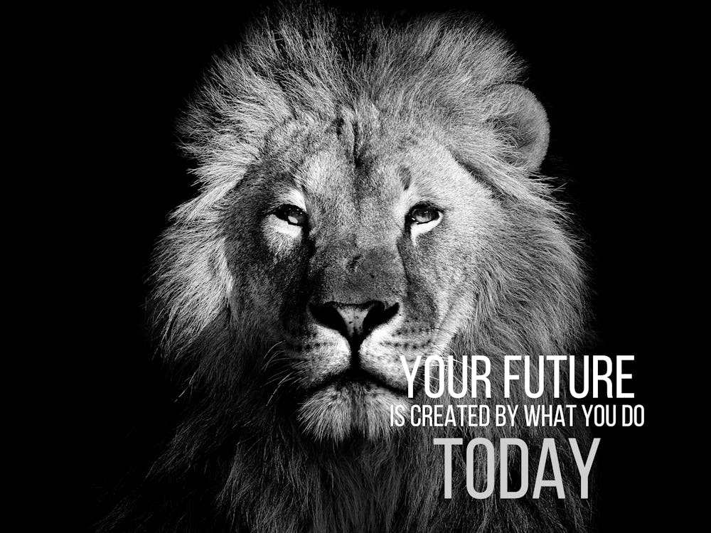 Your Future Is Created By What You Do Today