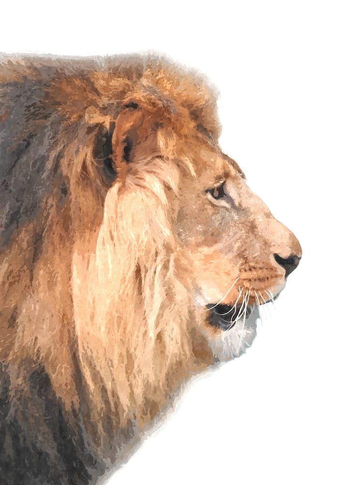 Lion Profile Watercolor
