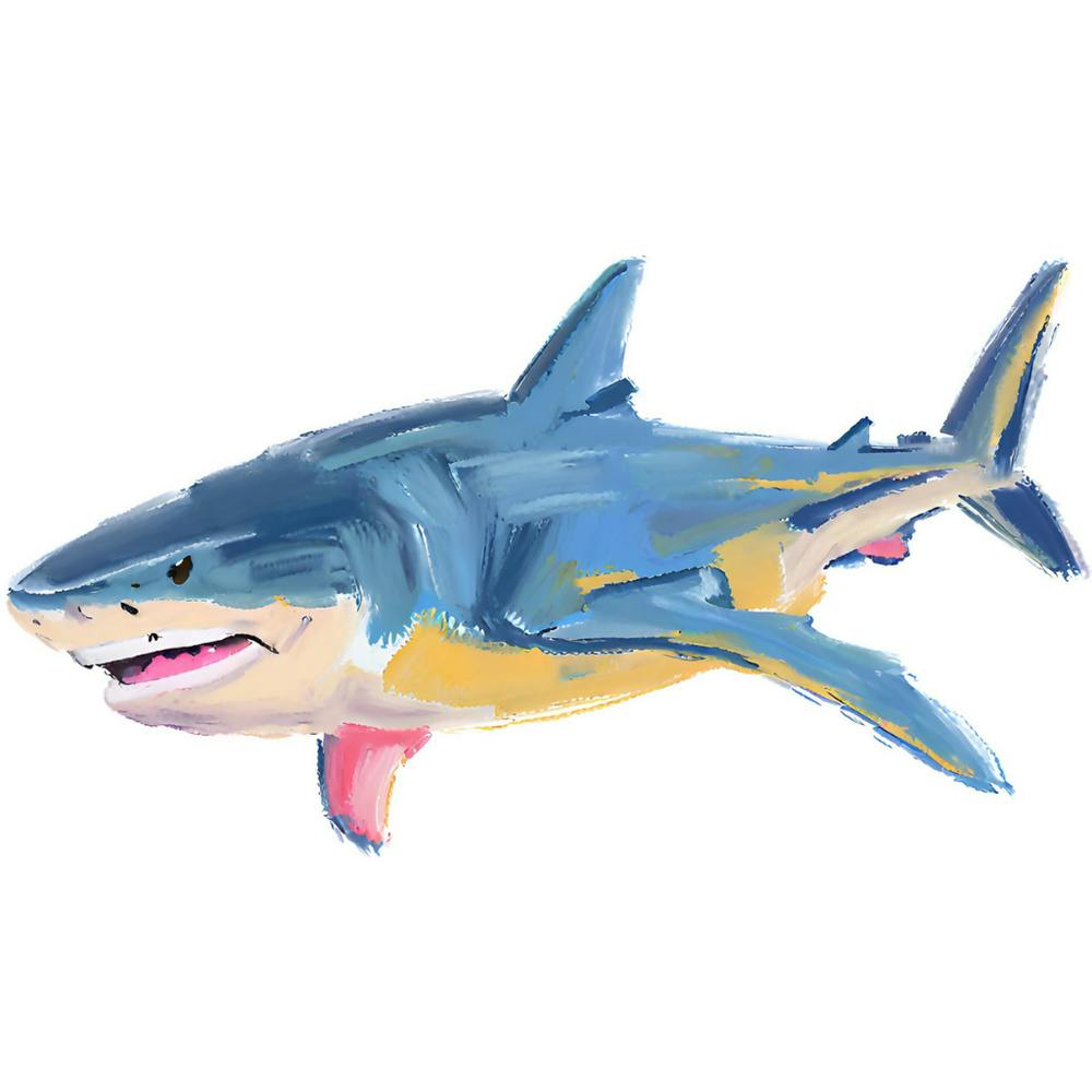 Bull Shark 08