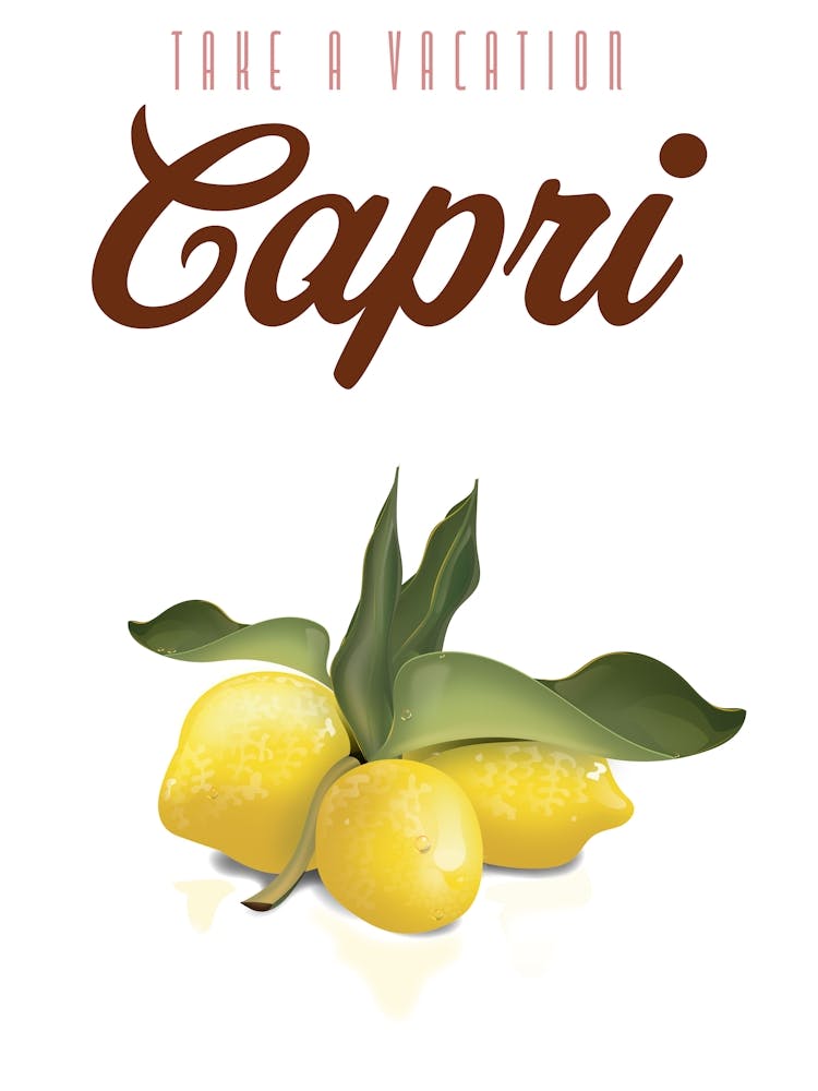 Take a Vacation Capri