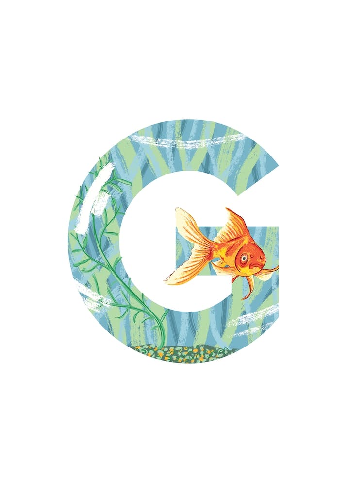 G Is For Goldfish 