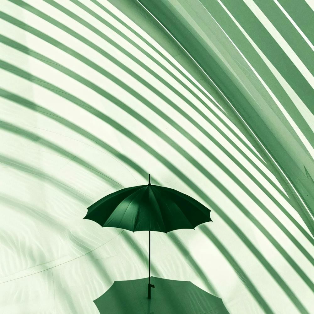 Shadow Of An Umbrella