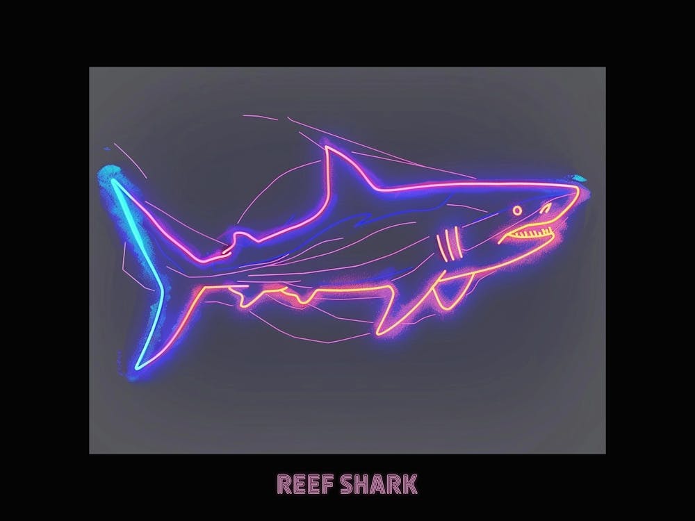 Neon Pink White Tip Reef Shark Poster 2