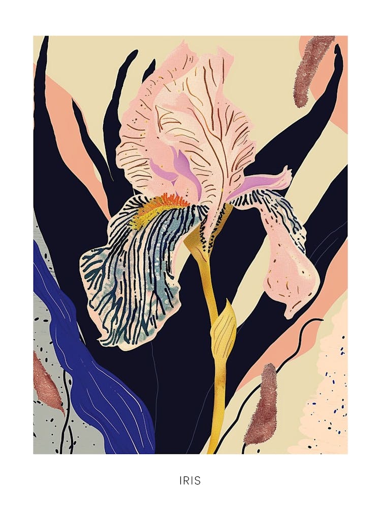 Colourful Flower Illustration Poster Iris 1