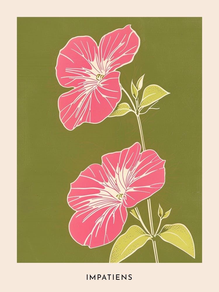 Pink & Green Impatiens 1 Blumenposter