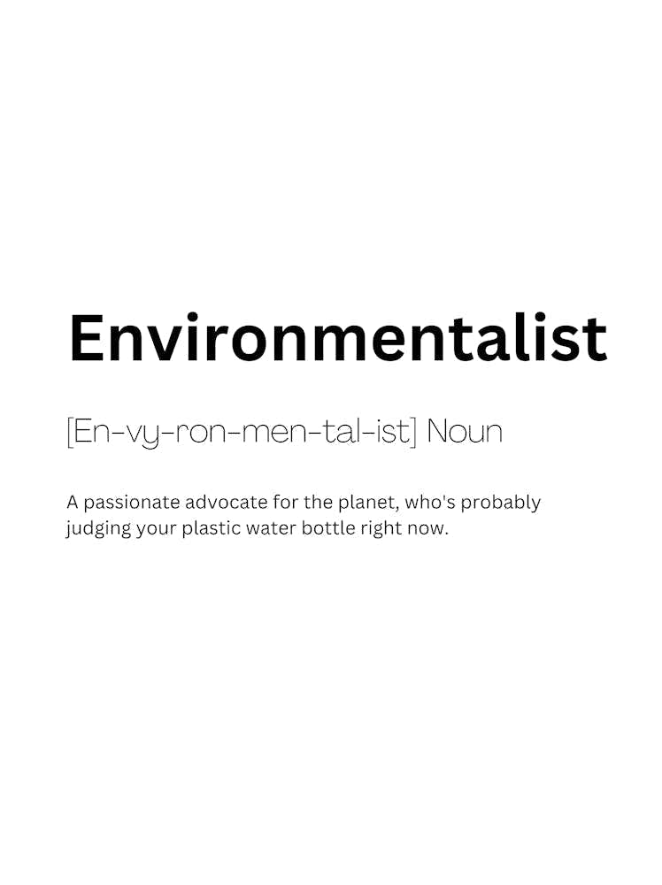 Environmentalist Definition Meaning 1