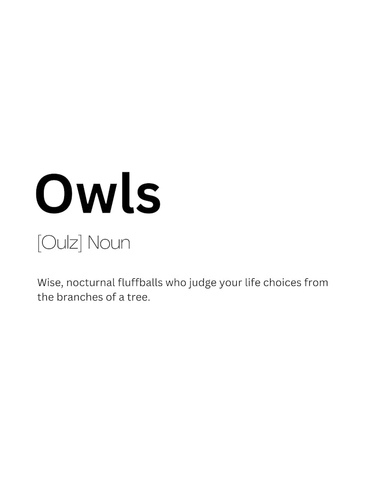 Owls Definition Meaning 1