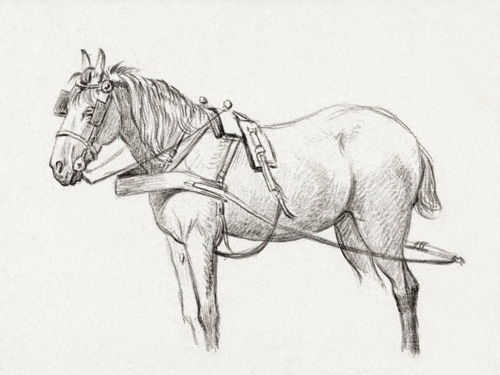 Standing Harnessed Horse 1, Jean Bernard