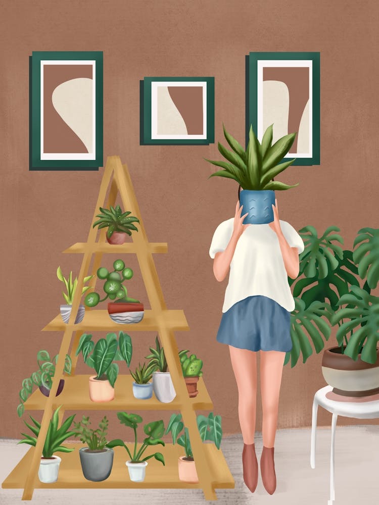 Wooden floors, walls and window sills 1