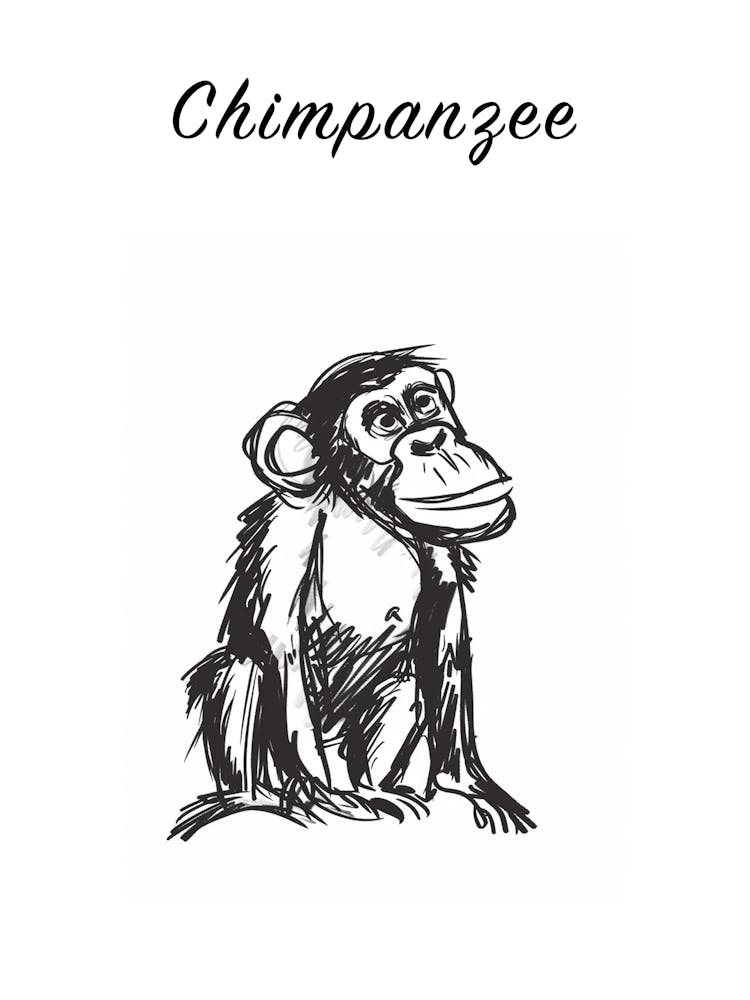 S&W Schimpansen-Poster