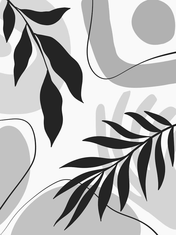 Abstract Black And White Leaves 1